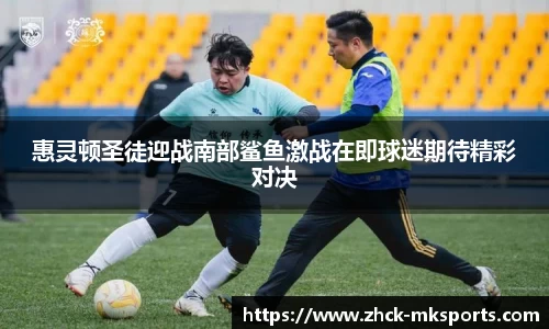 惠灵顿圣徒迎战南部鲨鱼激战在即球迷期待精彩对决