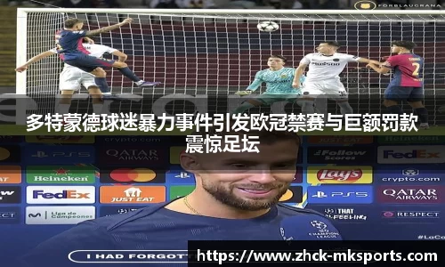 多特蒙德球迷暴力事件引发欧冠禁赛与巨额罚款震惊足坛